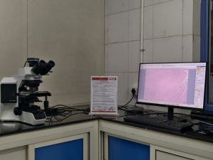 Bright Field Microscope