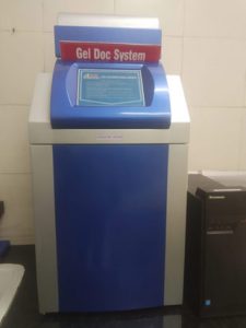 Gel Doc System