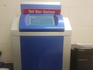 Gel Doc System