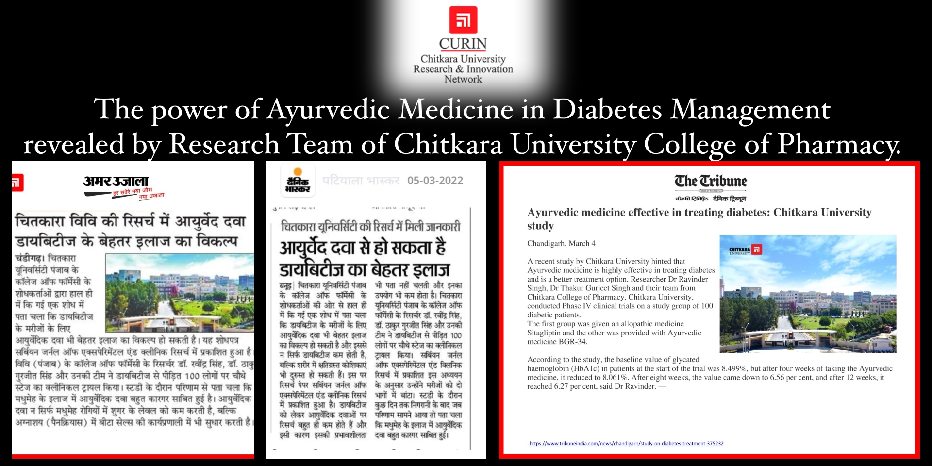 Ayurveda for Diabetes Management